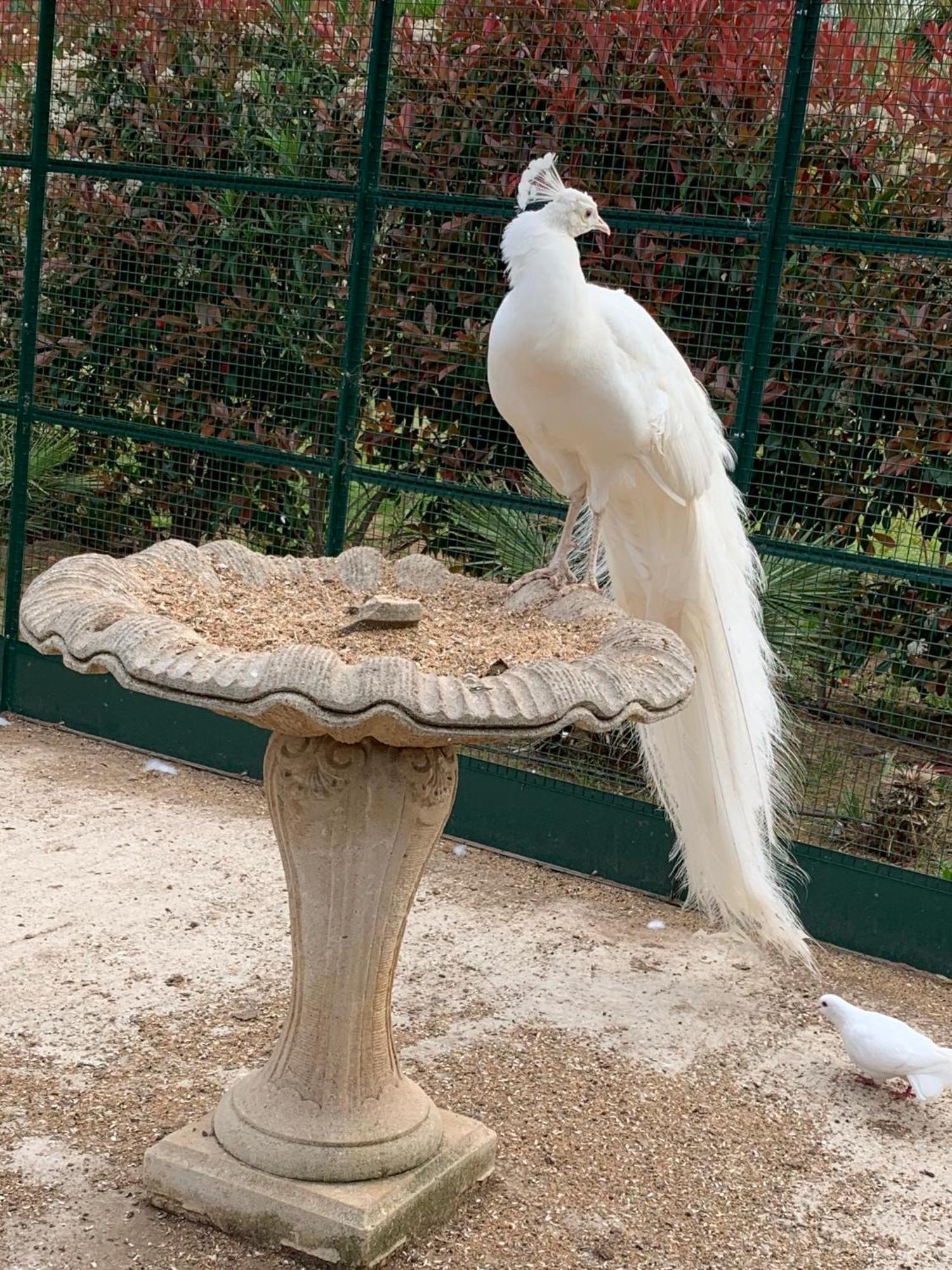 הייר Chateau De La Clapiere מראה חיצוני תמונה