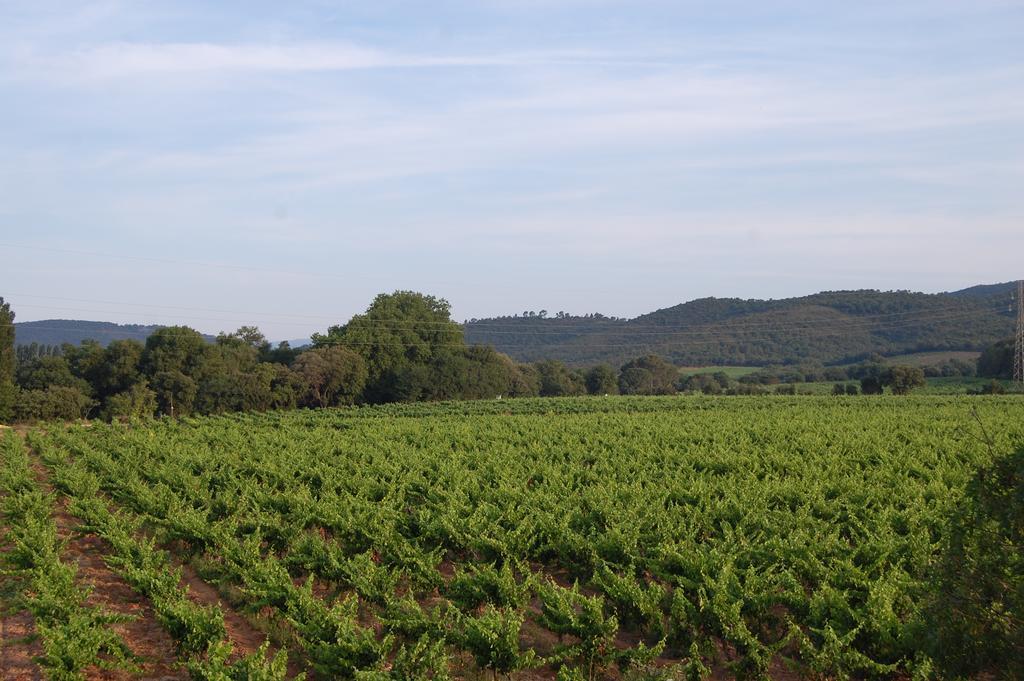 הייר Chateau De La Clapiere מראה חיצוני תמונה